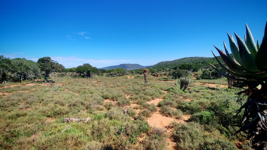 0 Bedroom Property for Sale in Somerset East Rural Eastern Cape